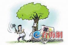 ���ӵ�����ľ�����������ߵ�ѡ��֧����